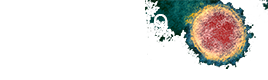 Covid-19 Information Page